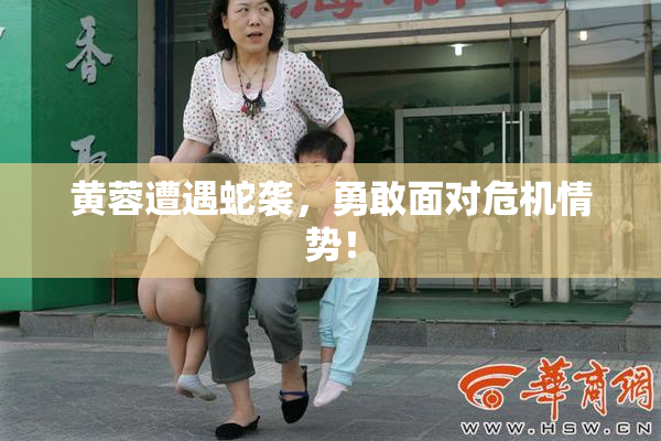 黄蓉遭遇蛇袭，勇敢面对危机情势！