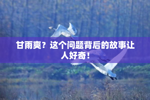 甘雨爽？这个问题背后的故事让人好奇！