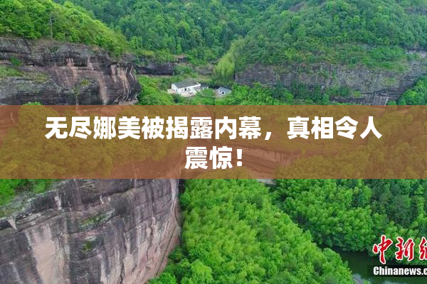 无尽娜美被揭露内幕，真相令人震惊！