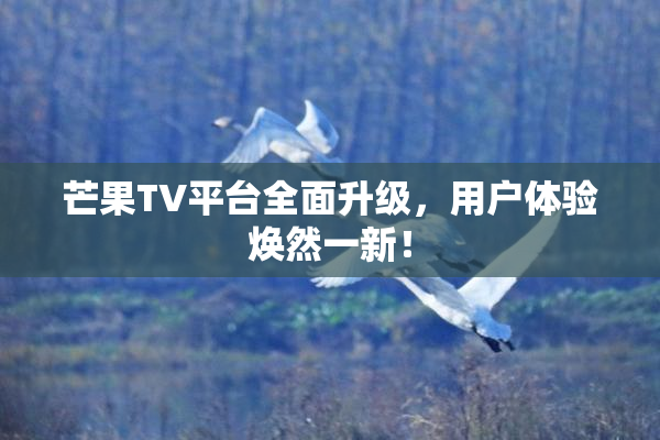 芒果TV平台全面升级，用户体验焕然一新！