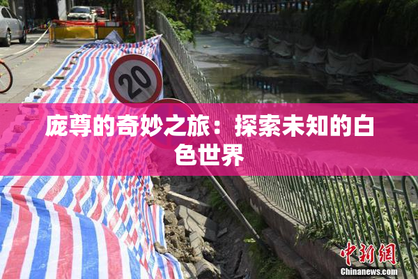 庞尊的奇妙之旅：探索未知的白色世界