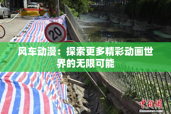 风车动漫：探索更多精彩动画世界的无限可能