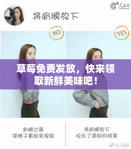 草莓免费发放，快来领取新鲜美味吧！