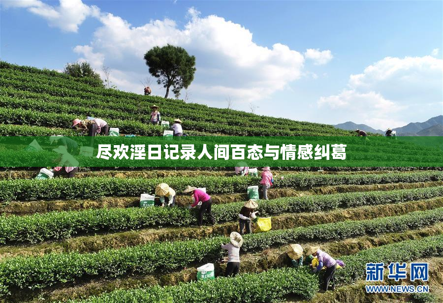 尽欢淫日记录人间百态与情感纠葛