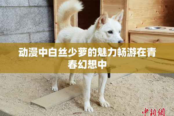 动漫中白丝少萝的魅力畅游在青春幻想中