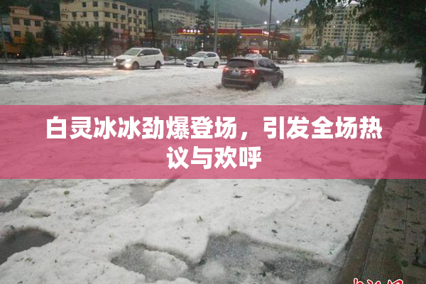 白灵冰冰劲爆登场，引发全场热议与欢呼
