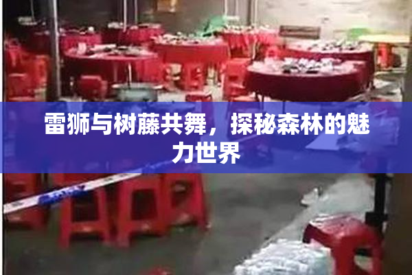 雷狮与树藤共舞，探秘森林的魅力世界