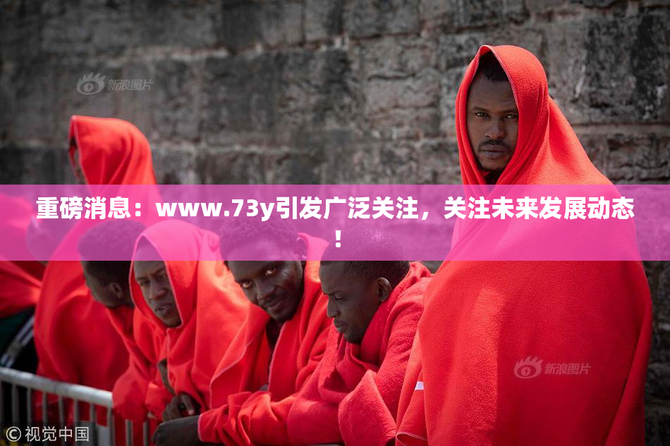 重磅消息：www.73y引发广泛关注，关注未来发展动态！