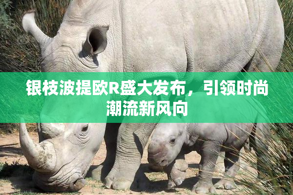 银枝波提欧R盛大发布，引领时尚潮流新风向