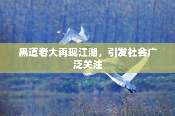 黑道老大再现江湖，引发社会广泛关注