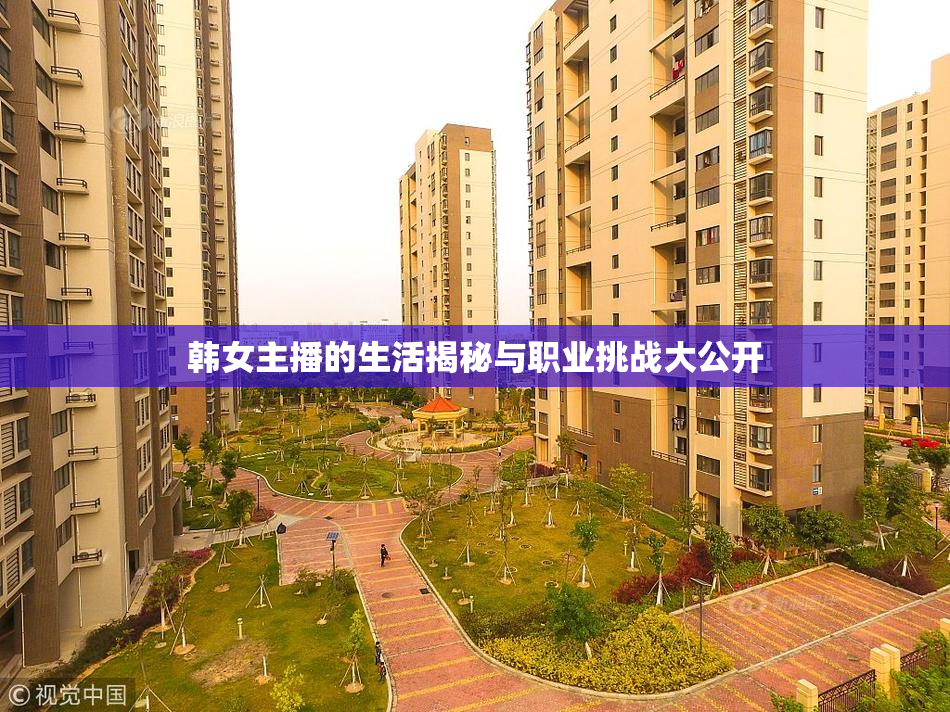 韩女主播的生活揭秘与职业挑战大公开