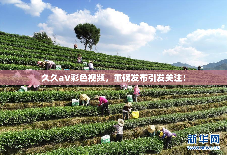 久久aV彩色视频，重磅发布引发关注！