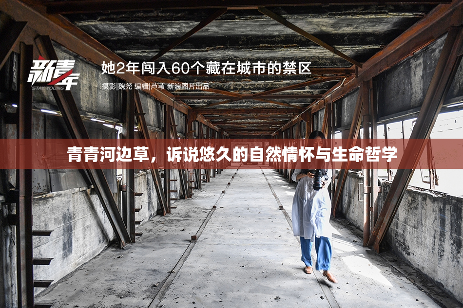 青青河边草，诉说悠久的自然情怀与生命哲学