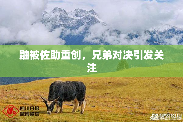 鼬被佐助重创，兄弟对决引发关注