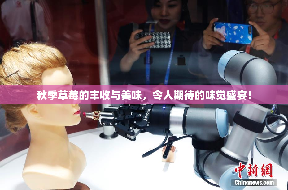 秋季草莓的丰收与美味，令人期待的味觉盛宴！