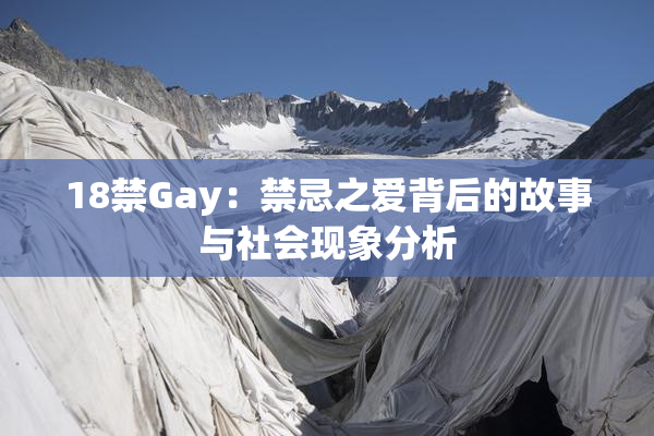 18禁Gay：禁忌之爱背后的故事与社会现象分析