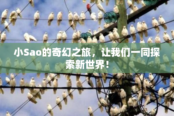 小Sao的奇幻之旅，让我们一同探索新世界！
