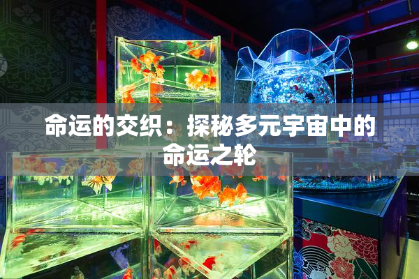 命运的交织：探秘多元宇宙中的命运之轮