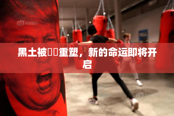 黑土被❌‌重塑，新的命运即将开启