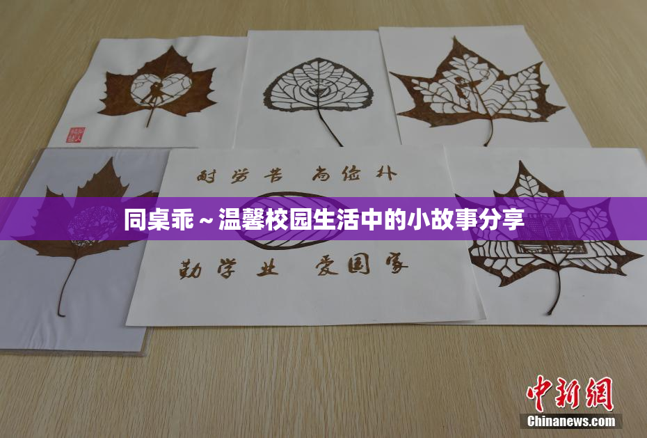 同桌乖～温馨校园生活中的小故事分享