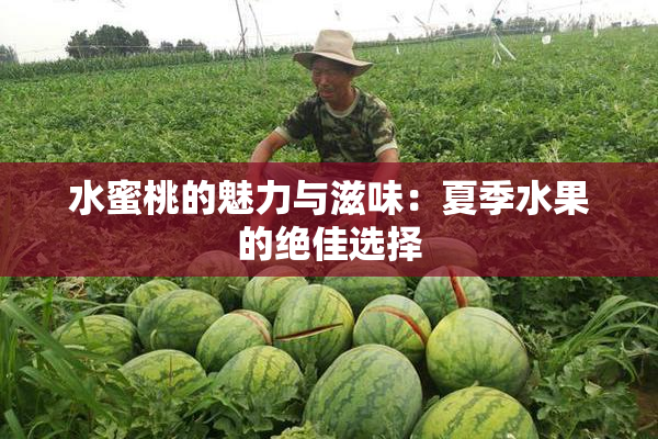 水蜜桃的魅力与滋味：夏季水果的绝佳选择