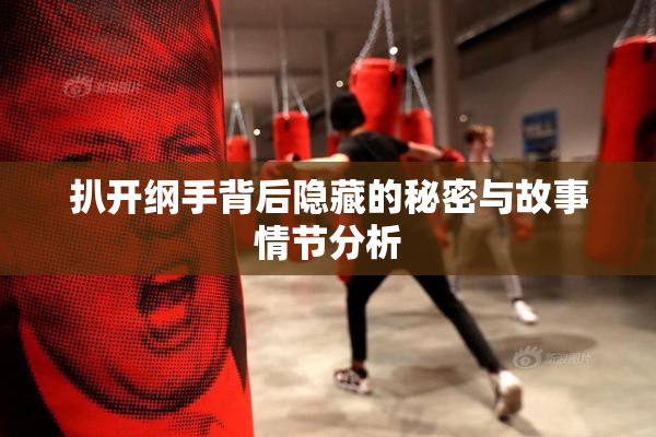 扒开纲手背后隐藏的秘密与故事情节分析