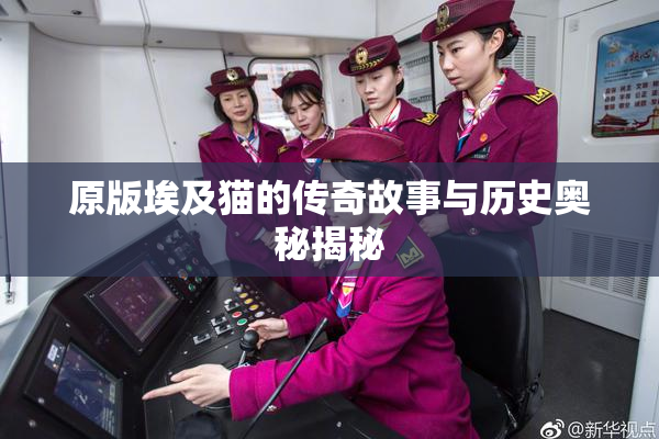 原版埃及猫的传奇故事与历史奥秘揭秘