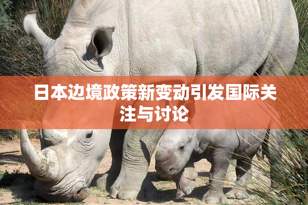 日本边境政策新变动引发国际关注与讨论