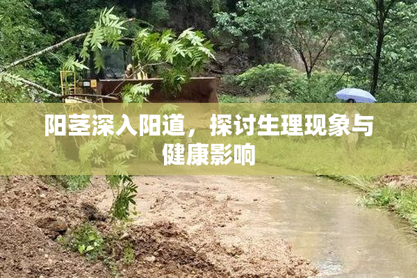 阳茎深入阳道，探讨生理现象与健康影响