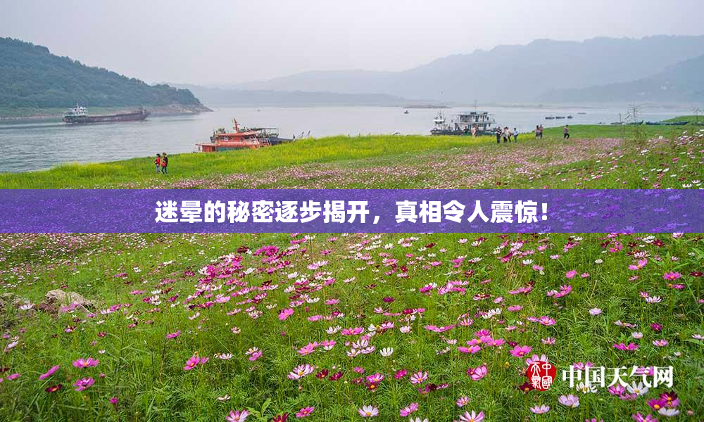 迷晕的秘密逐步揭开，真相令人震惊！