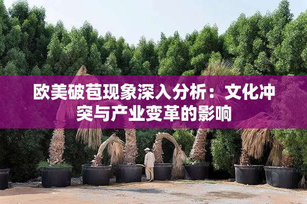 欧美破苞现象深入分析：文化冲突与产业变革的影响