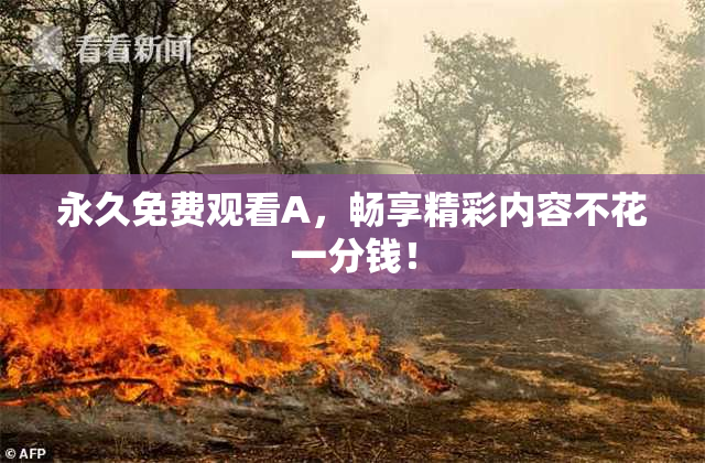 永久免费观看A，畅享精彩内容不花一分钱！