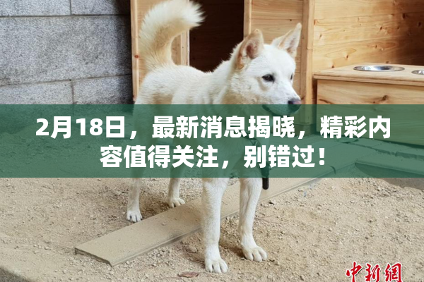 2月18日，最新消息揭晓，精彩内容值得关注，别错过！