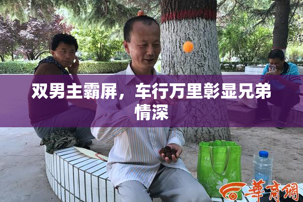 双男主霸屏，车行万里彰显兄弟情深