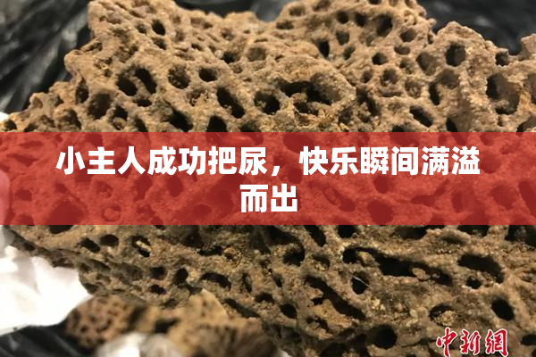 小主人成功把尿，快乐瞬间满溢而出