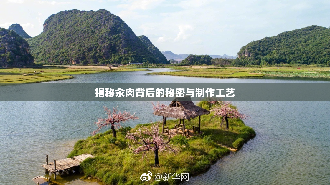 揭秘汆肉背后的秘密与制作工艺