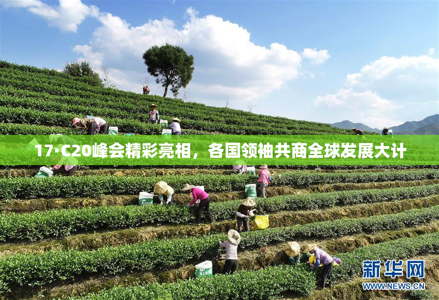 17·C20峰会精彩亮相，各国领袖共商全球发展大计