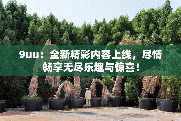 9uu：全新精彩内容上线，尽情畅享无尽乐趣与惊喜！