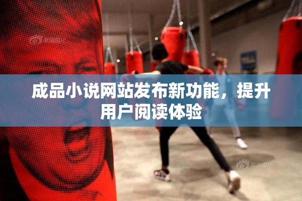 成品小说网站发布新功能，提升用户阅读体验