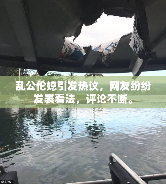 乱公伦媳引发热议，网友纷纷发表看法，评论不断。