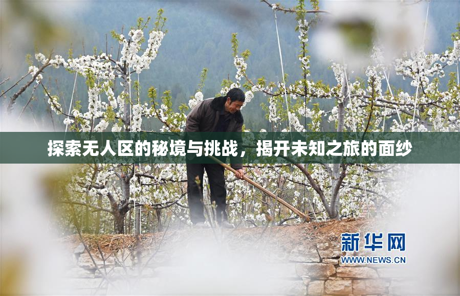 探索无人区的秘境与挑战，揭开未知之旅的面纱