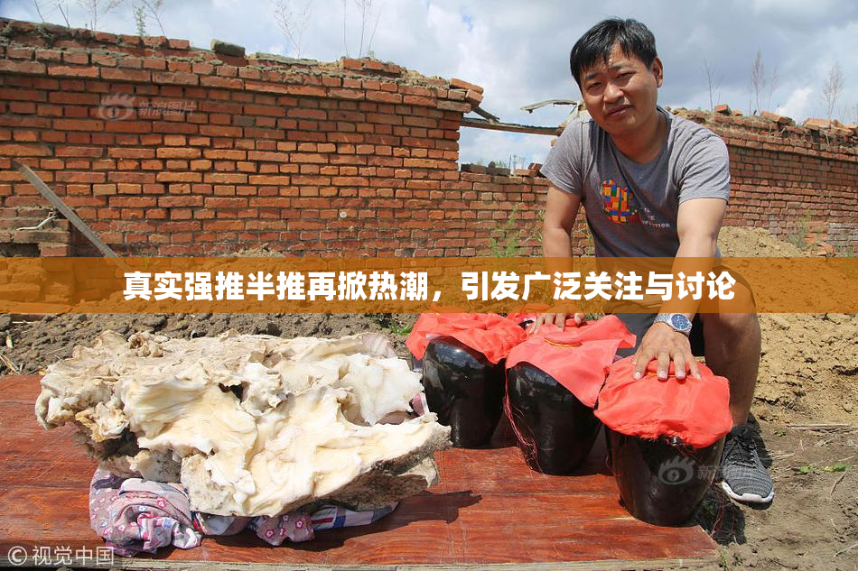真实强推半推再掀热潮，引发广泛关注与讨论