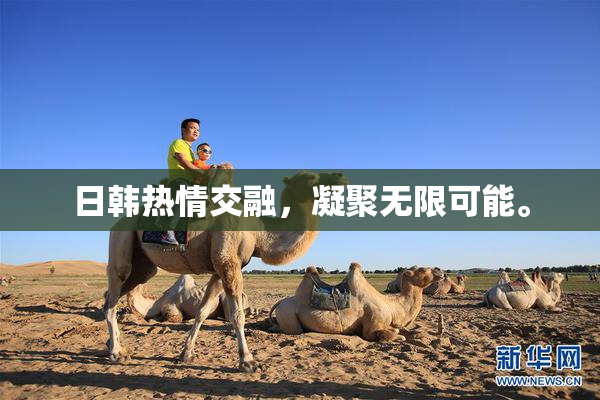 日韩热情交融，凝聚无限可能。
