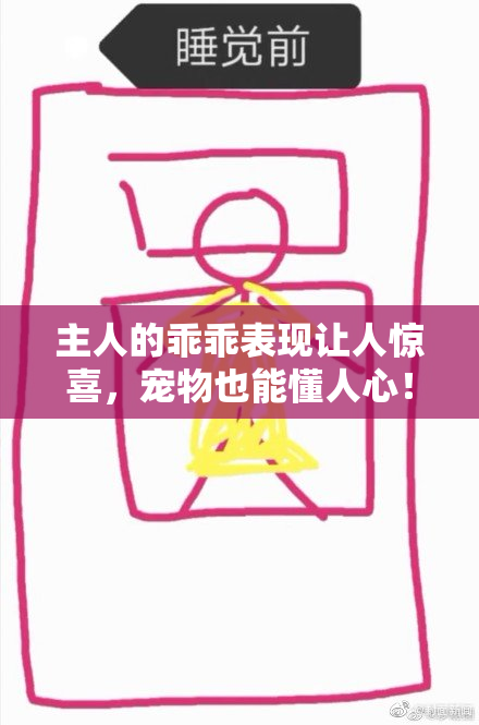 主人的乖乖表现让人惊喜，宠物也能懂人心！