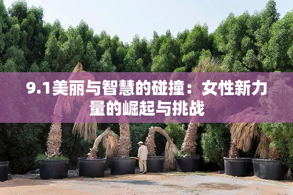 9.1美丽与智慧的碰撞：女性新力量的崛起与挑战