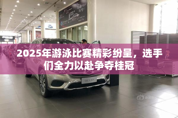 2025年游泳比赛精彩纷呈，选手们全力以赴争夺桂冠