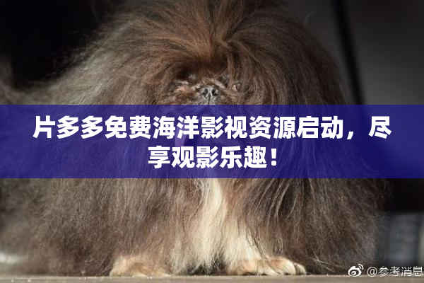 片多多免费海洋影视资源启动，尽享观影乐趣！