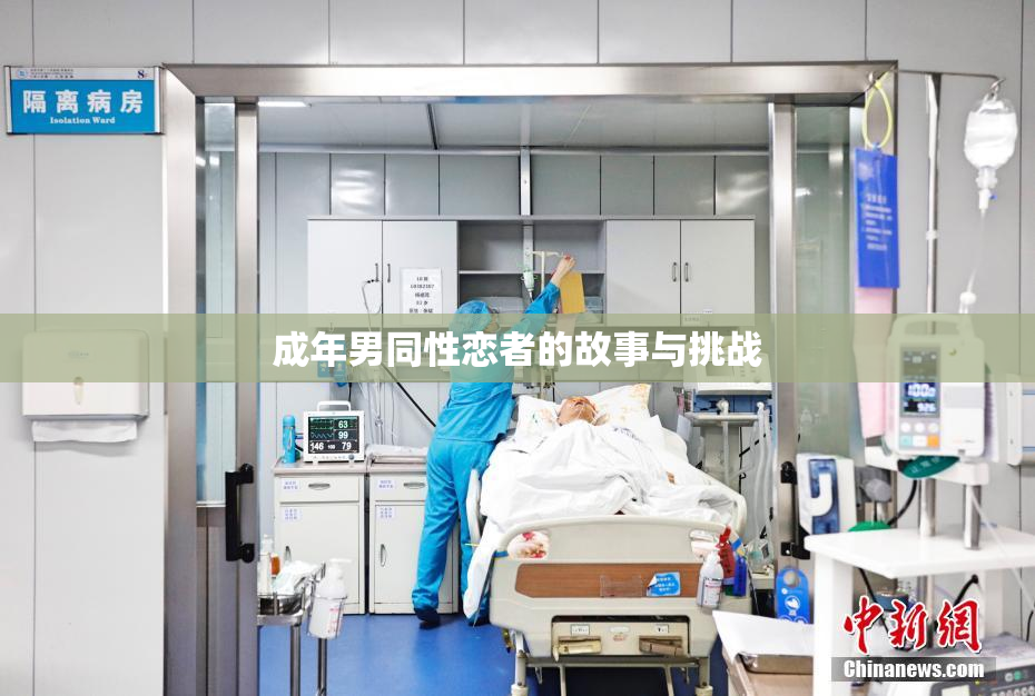 成年男同性恋者的故事与挑战
