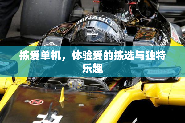 拣爱单机，体验爱的拣选与独特乐趣