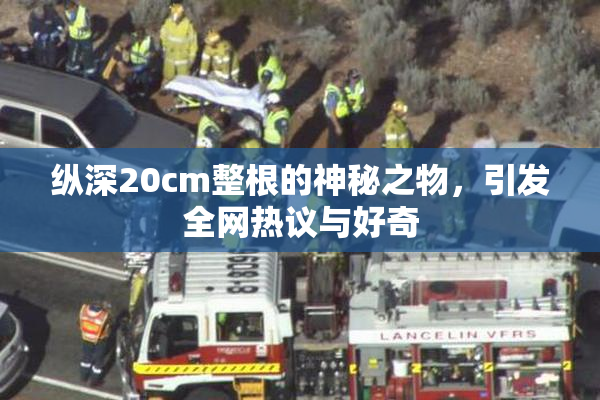 纵深20cm整根的神秘之物，引发全网热议与好奇